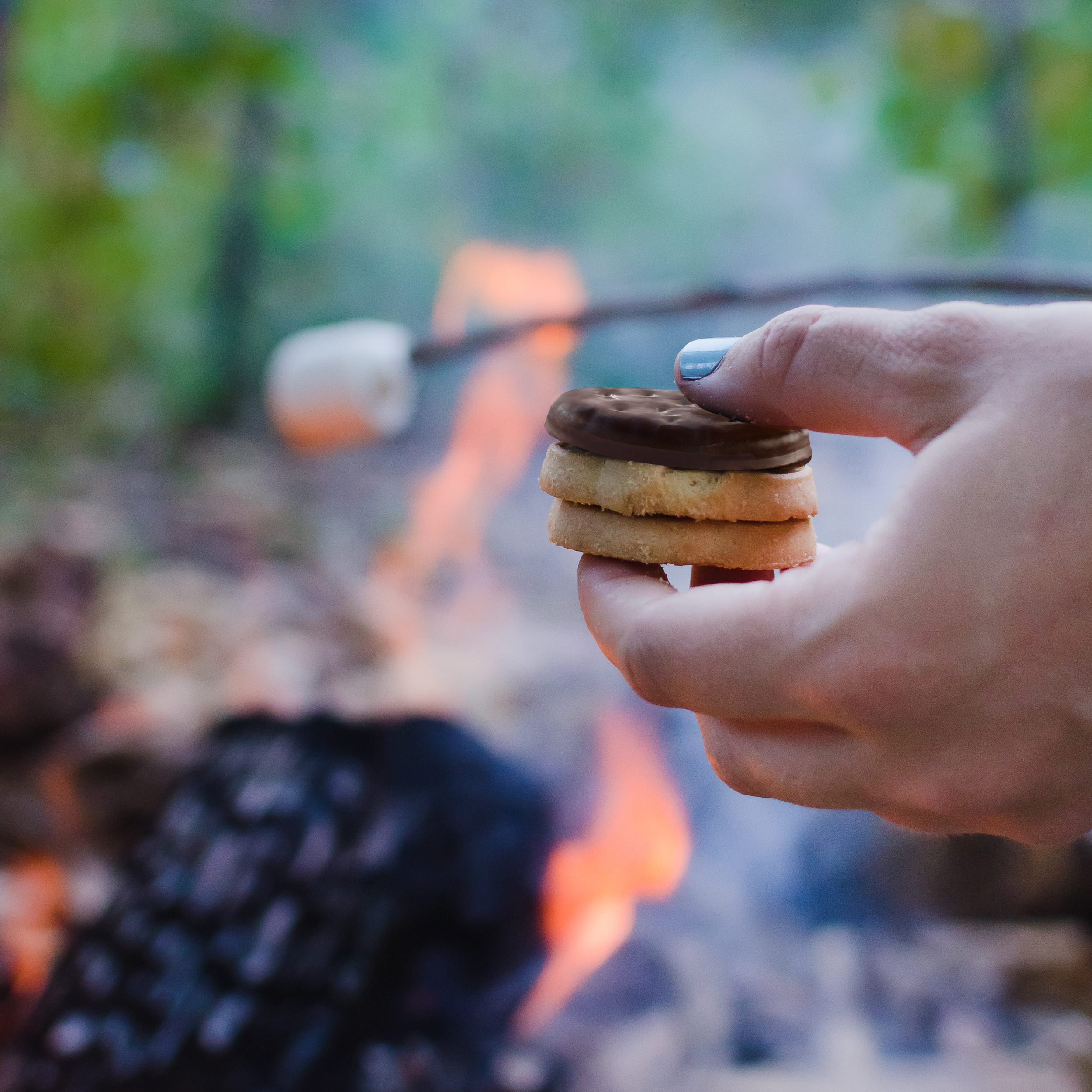 Girl Scout cookies and s'mores at a campfire